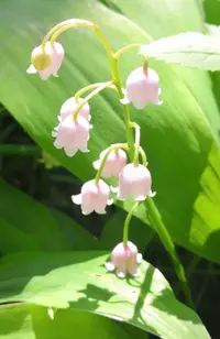 IMG_20200606_122441.webp