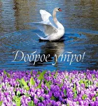 unnamed (13).webp