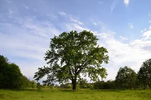 _DSC7344.webp