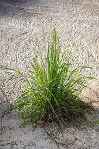 _DSC7375.webp