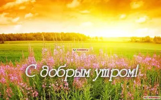 IMG-20200522-WA0004.webp