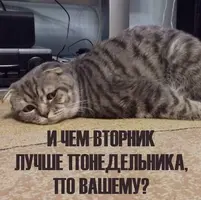 4a5da868affbb6b4fd2af54a19e43bd3.webp