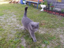 20180724_070756.webp