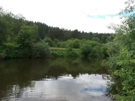 20180712_122117.webp