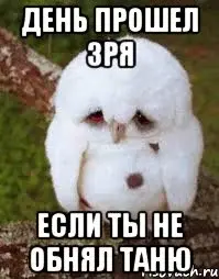 F7BBB07B-BE03-4547-A5BC-0711BCF037BF.webp