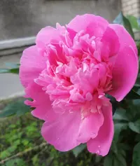 IMG_20200609_193350.webp