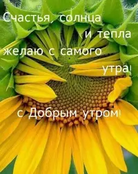 neobychnye-kartinki-s-dobrym-utrom-43.webp