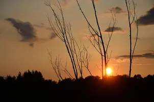 _DSC7586.webp