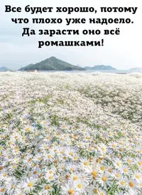 IMG_20200611_124108.webp