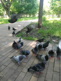 1592086073420.webp