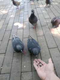 1591868861756.webp