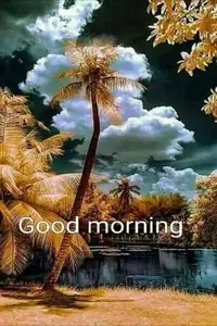 0dffb27412586225.webp