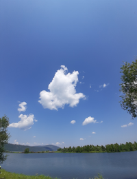 20200614_171703.webp