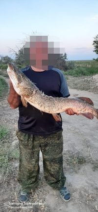 IMG-20200614-WA0020(1).webp