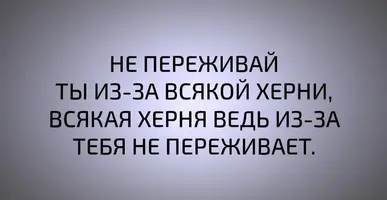 y9cdJgGdUf8.webp