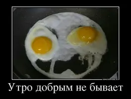 d5c4ce5s-960.webp