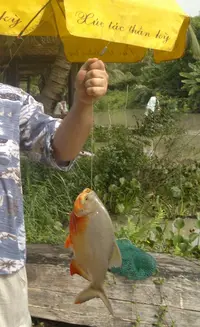 2014-06-21-555.webp