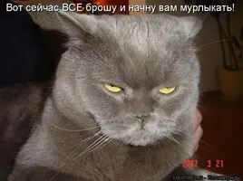 s1200.webp