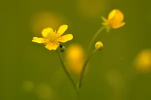 _DSC7775.webp