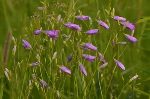 _DSC7722.webp