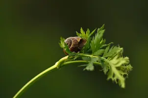 _DSC7771_1.webp