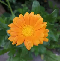 IMG_20200616_202832.webp