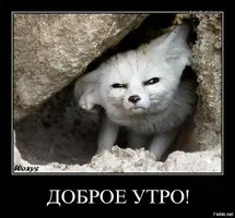 0d57b856a9cb1eebd8b41aaf93a991a2.webp