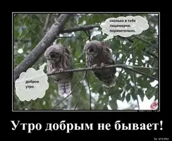 Понедельник-добрым-не-бывает-картинки011.webp