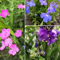 IMG_20200617_201835-min.webp