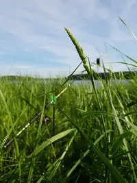 20200619_171015_copy_756x1008.webp
