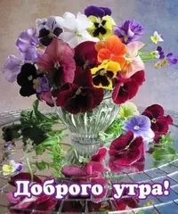 2815838866.webp