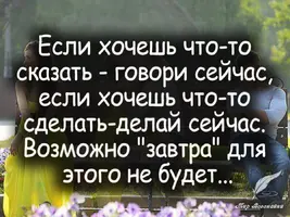 2531991538.webp