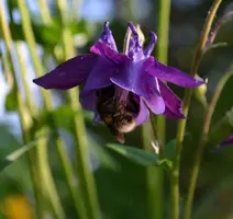 DSC_9425-02.webp