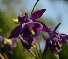 DSC_9411-01.webp