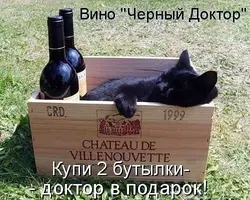 untitled.webp
