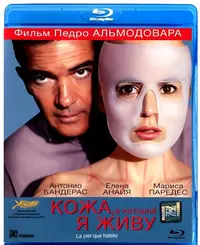 2553894.webp