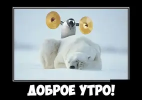292827626.webp