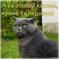 I2OqATmfzlk.webp