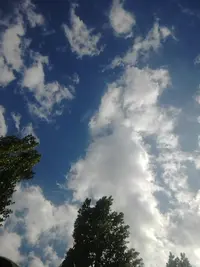 1592919074989991509163.webp