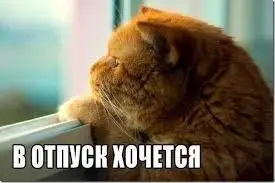 images (15).webp