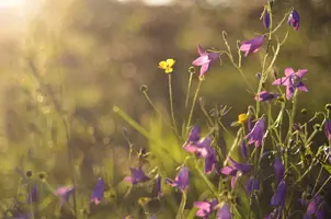 _DSC7919.webp