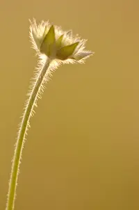 _DSC8030.webp