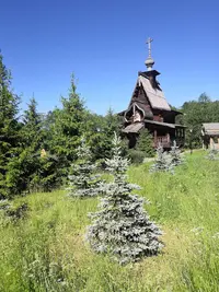 IMG_20200624_160151.webp