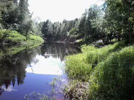20200624_135524.webp