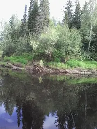 20200624_154437.webp