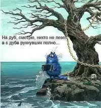 FB_IMG_1592997951981.webp