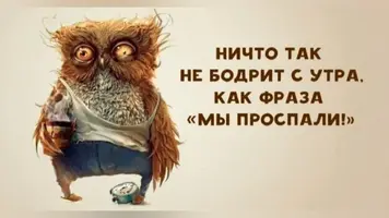 maxresdefault.webp