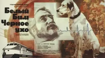 Постер_фильма_«Белый_Бим_Чёрное_ухо».webp