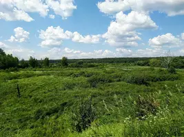 IMG_20200625_135745.webp