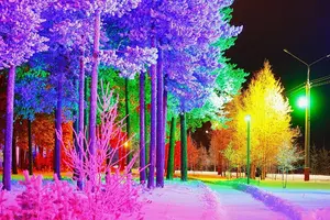 qXfn8eXL88g.webp